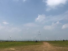 -塞罕坝国家级自然保护区