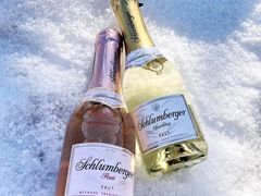 -维也纳国际机场