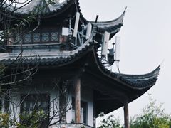 -白马涧龙池景区