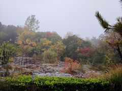-云龙山