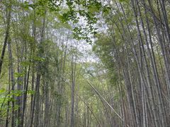 -穹窿山景区