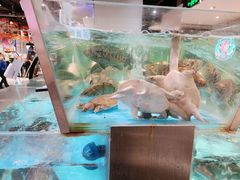 -资和信百货商场