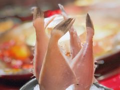 -谭鸭血老火锅(漳州路店)