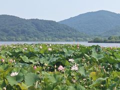-南北湖风景区