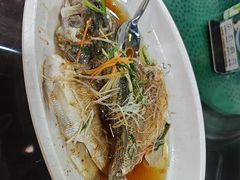 -东鸽皇(奥园·中环广场店)