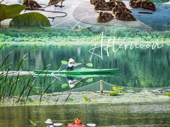 -WhaleSports户外水上运动俱乐部(朝阳公园店)