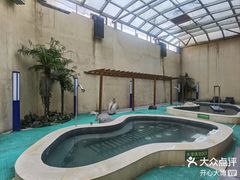 -稻香湖景欢乐岛温泉城堡