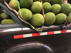 -三亚新鸿港水果一级批发市场