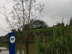 -白鹭湾湿地公园