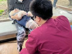 -瑞派宠物医院(锦江店)
