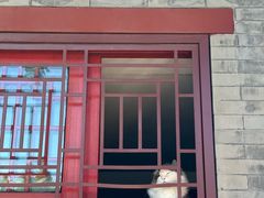 -玫瑰红烤羊排(北新桥三条店)