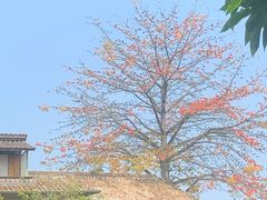 -喜洲吧·江畔老船厂·庭院餐厅(喜临院店)