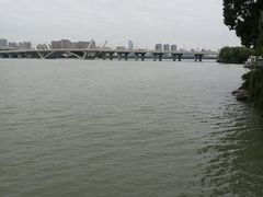 -长广溪湿地公园