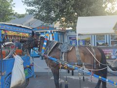 -伊犁老城喀赞其民俗旅游区