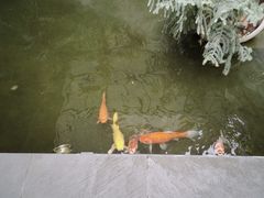 -漫笙舍Manse·咖啡·民宿