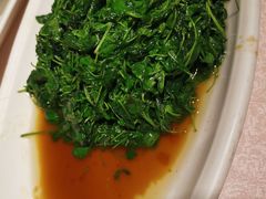 清炒金花菜-天福苑(崇宁路店)