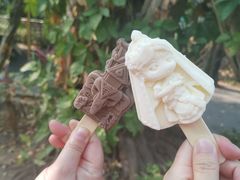 -西双版纳傣族园