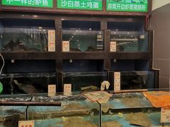 水产区-绿丰园农家菜(南北大厦店)