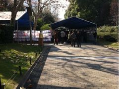 -人民公园-相亲角
