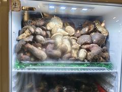 -太婆天府山珍酒楼(亚运村店)
