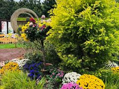 -上海共青森林公园