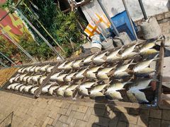 -南沙十九涌渔人码头-南门