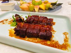 -丁老爷子苏香圆