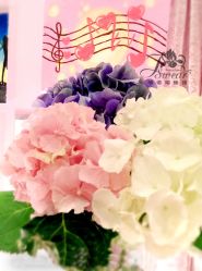 -静安洲际酒店·宴会厅