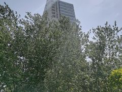 -金狮国际酒店自助餐(金狮店)