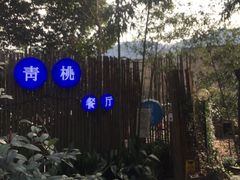 -青桃餐厅