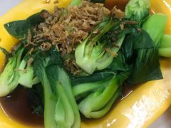 油菜-正正文志记猪什汤