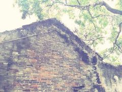 -小洲村