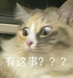-广州粤秀医疗美容医院