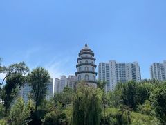 -西宁市人民公园(城西区)