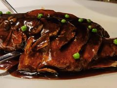 -绿茶餐厅(西单老佛爷店)