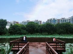 -新江湾城公园