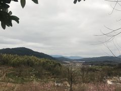 -塔川景区
