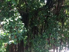 -船政文化景区-罗星塔公园