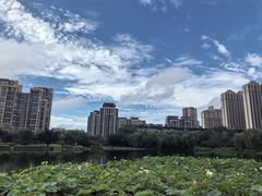 -木塔寺遗址生态公园