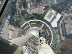 -东方明珠广播电视塔