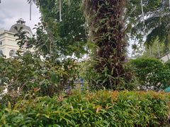 -开心花甲(星河城店)