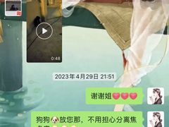 -波姐宠物家庭寄养