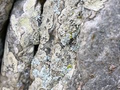 -汉中石门栈道景区