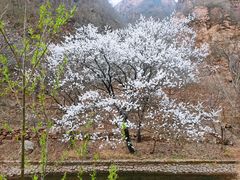 -湖洞水自然风景区