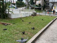 -牛车水美食街