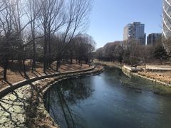 -大望京公园