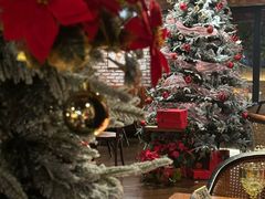 -弗兰克牛排西餐厅Ribone steak house(柠檬花园店)