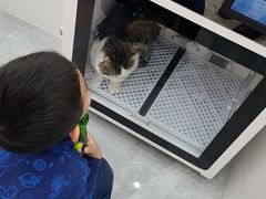 -1013 PET SHOP精品宠物商店(丁香店)