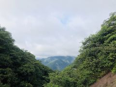 -广州市石门国家森林公园