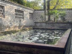 -八大山人梅湖景区